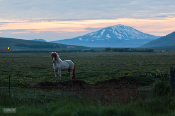 Hekla_240612_MG_1403
