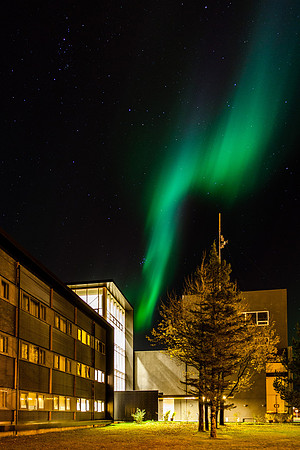 Selfoss-081013_MG_0364