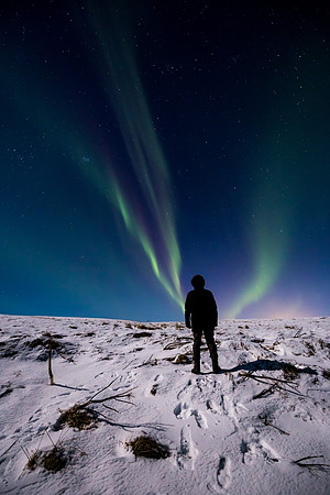 Aurora Borealis-150228_MG_4849
