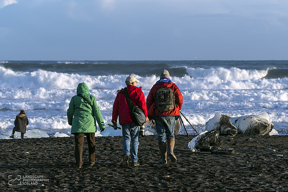 Ice-beach_A654831