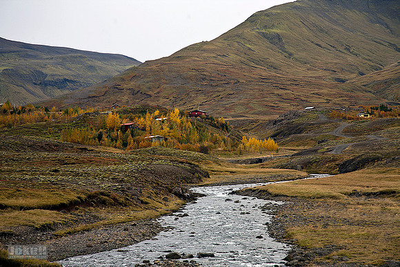 Autumn colors