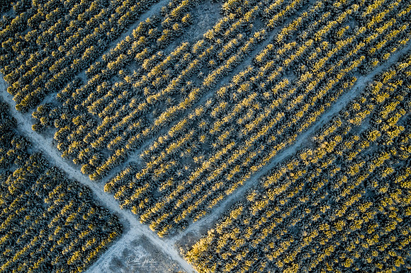 Grímsnes_20190113_DJI_0802