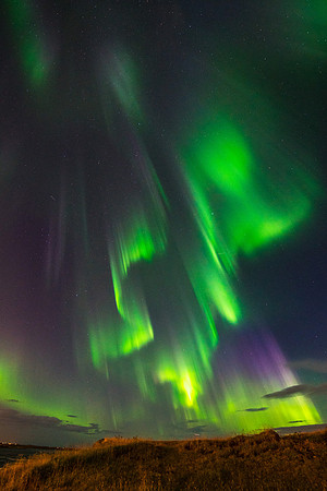 Aurora_Selfoss_20160824_DSC1827