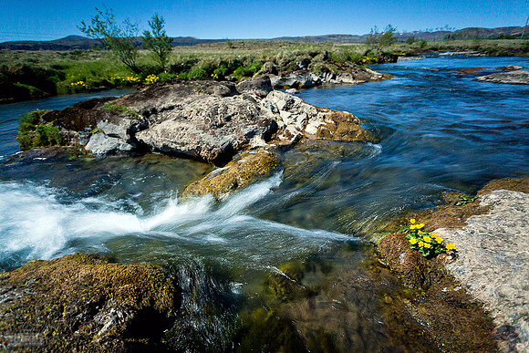 Varmá_020612_MG_8866