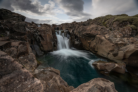 Foss_DSC0654