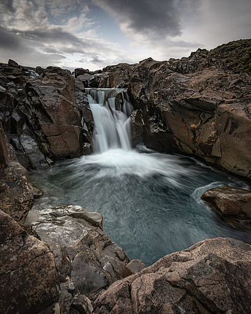 Foss_DSC0660