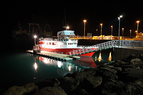 The Harbour at night