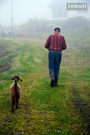 The Goat farmer