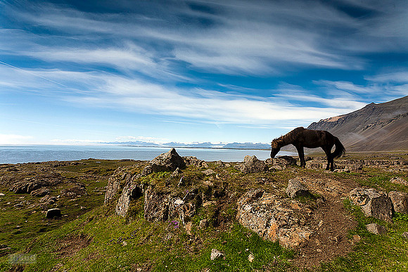 A warm day in Iceland