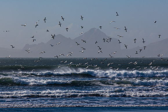 Landeyjasandur-140322_MG_6782