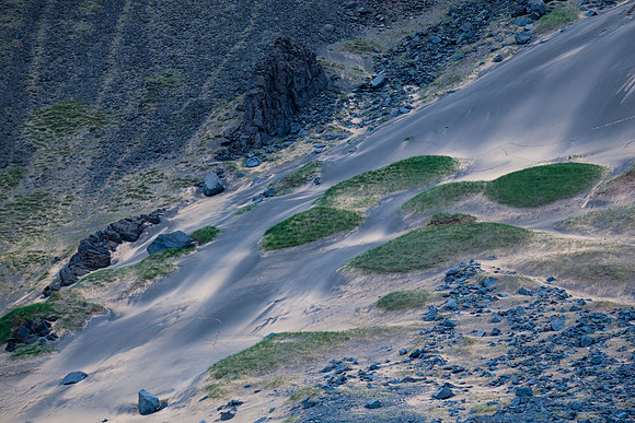 Rauðasandur-140608_MG_2363