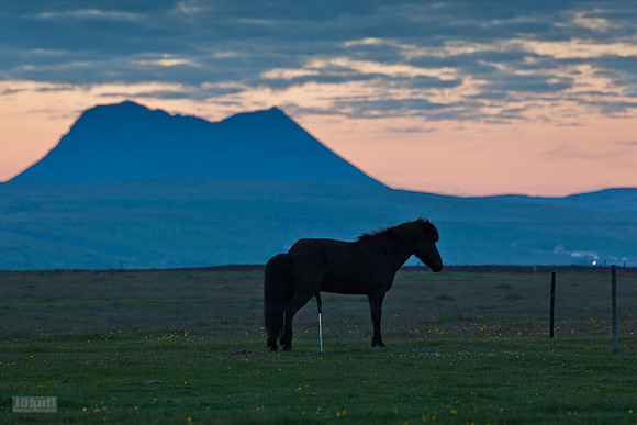 Þríhyrningur_240612_MG_1377