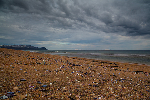 Rauðasandur-140608_MG_2375