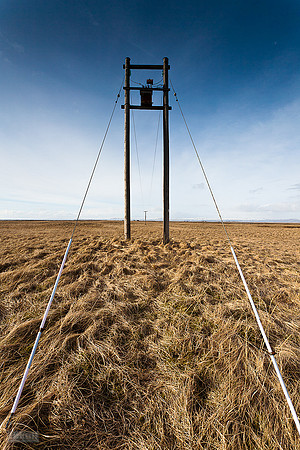 Rafmagnsstaurar