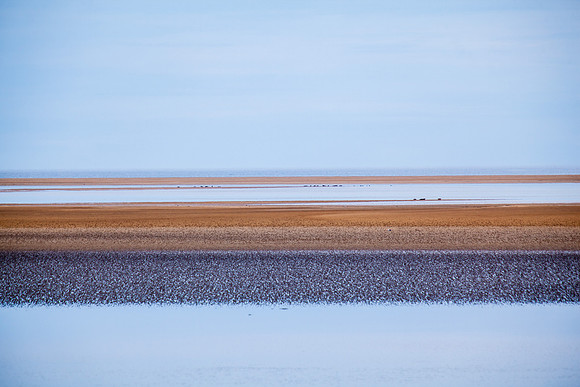 Rauðasandur-140608_MG_2350