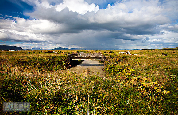 Úr Flóanum