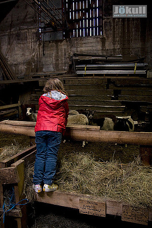 At the Farm