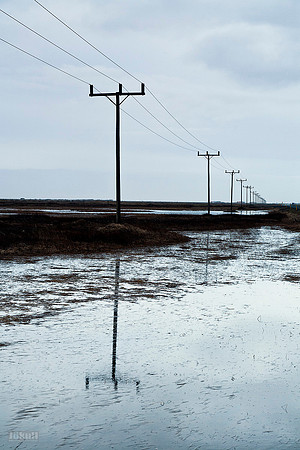 Powerlines