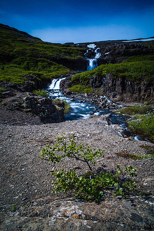 Kjálkafjarðará-140609_MG_2955