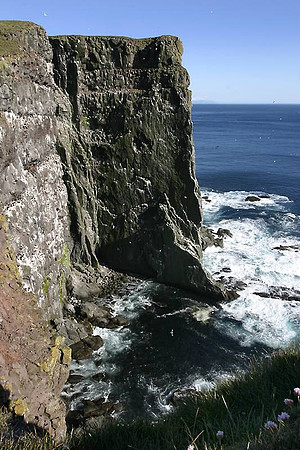 Látrabjarg cliff