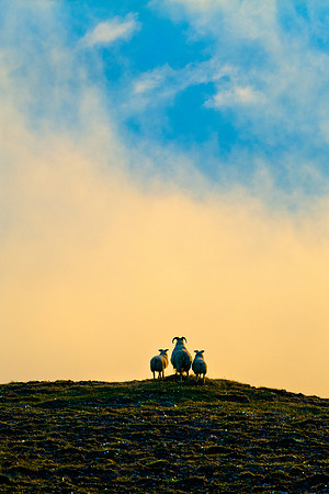 Vaðlaheiði_150711_MG_3349