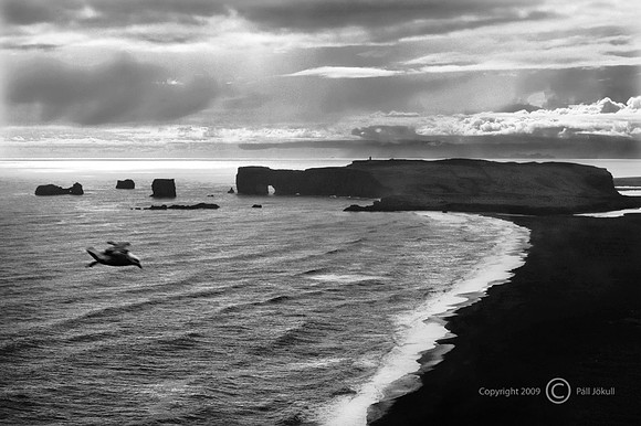 Dyrhólaey