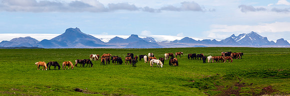 Hestar og fjöll-240613_MG_2062