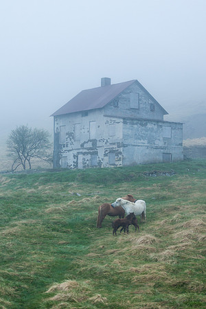 Hestar og eyðibýli-100613_MG_0240