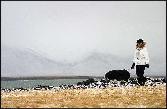 The woman and the dog