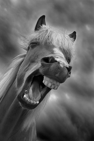 A funny face