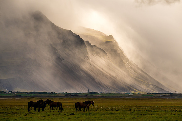 Suðursveit_eyðibýli-160830_DSC3399