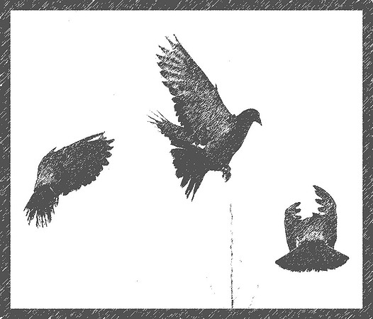 Grafik_CRW_8089-2.jpg
