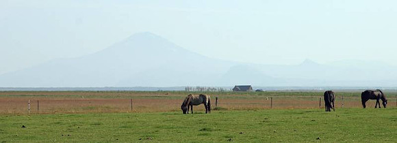 Hekla