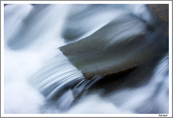 The Stream