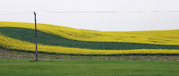 Landssveit.jpg