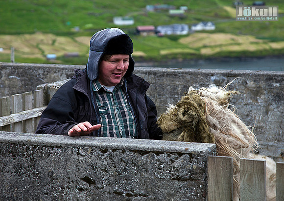 Rúning_MG_9013