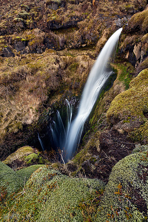 _MG_4858