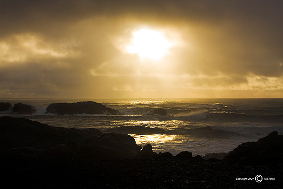 Dyrhólaey_101109_MG_1756