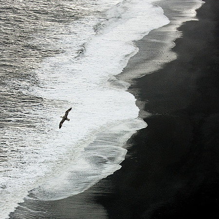 Flight