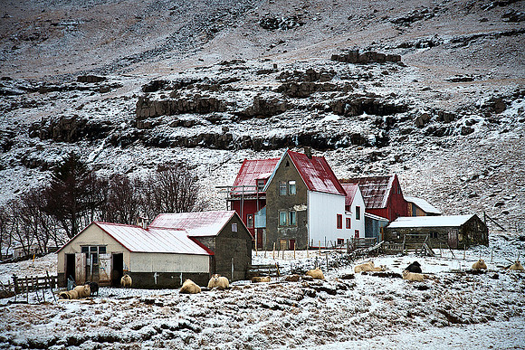 A Farm