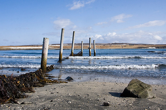 Kálfshamarsvík