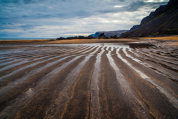 Rauðasandur-140608_MG_2443