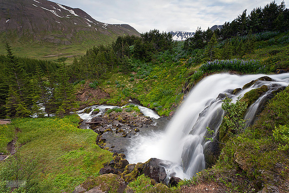 Foss í Siglufirði