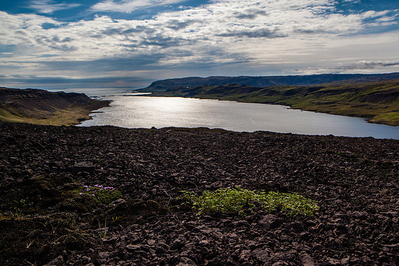 Djúpifjörður-140609_MG_2966