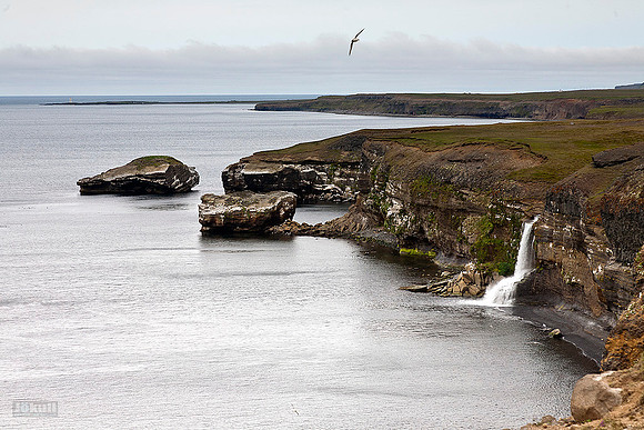Króksbjarg