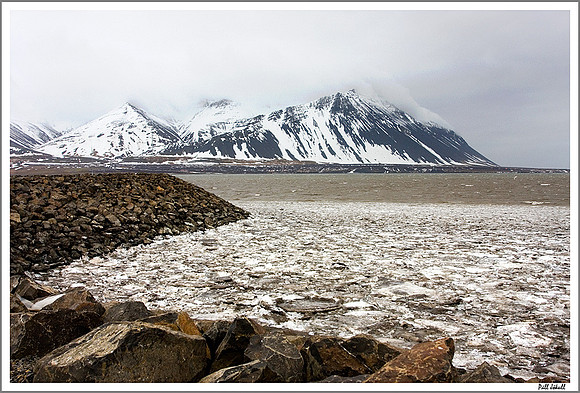 Borgarfjordur