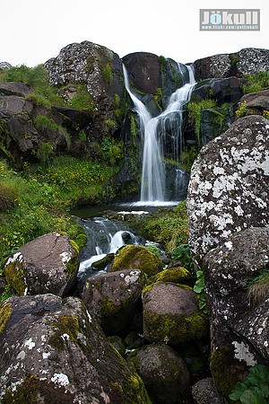 Svartifoss_260710_MG_7685