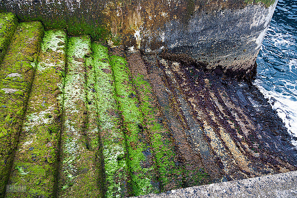 Kalsoy_310710_MG_9614