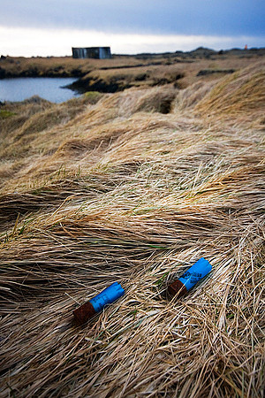 Reykjanes