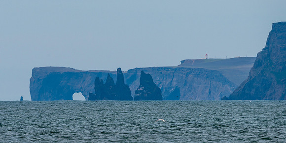 Dyrhólaey og Reynisdrangar-160617_DSC9048